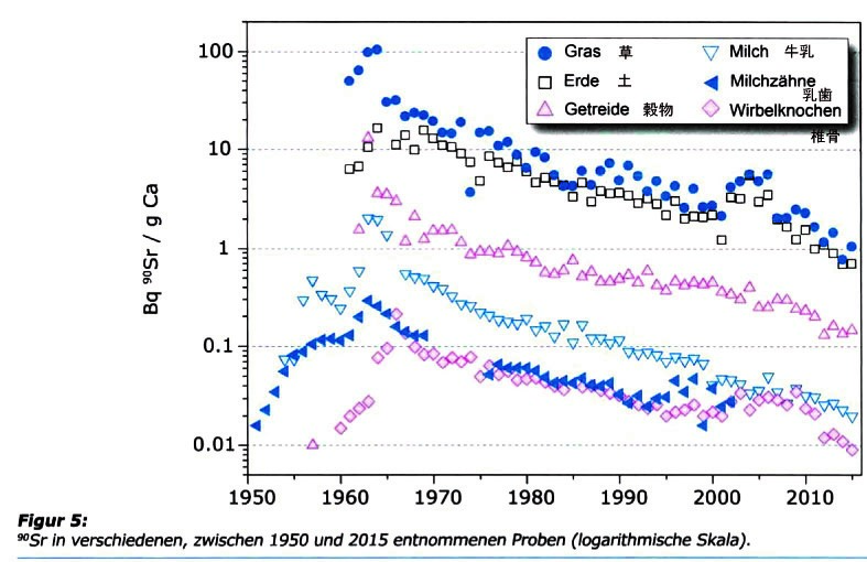 図7　スイスでは1950年代からストロンチウム90(Sr-90)が継続的に測定されてきた. 草、土、穀物、牛乳、乳歯、椎骨中の Sr-90測定値の推移　1950年最初に手がけられたのが乳歯であった