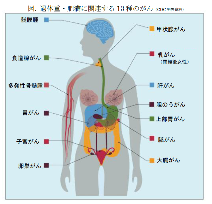 図. 過体重・肥満に関連する13種のがん